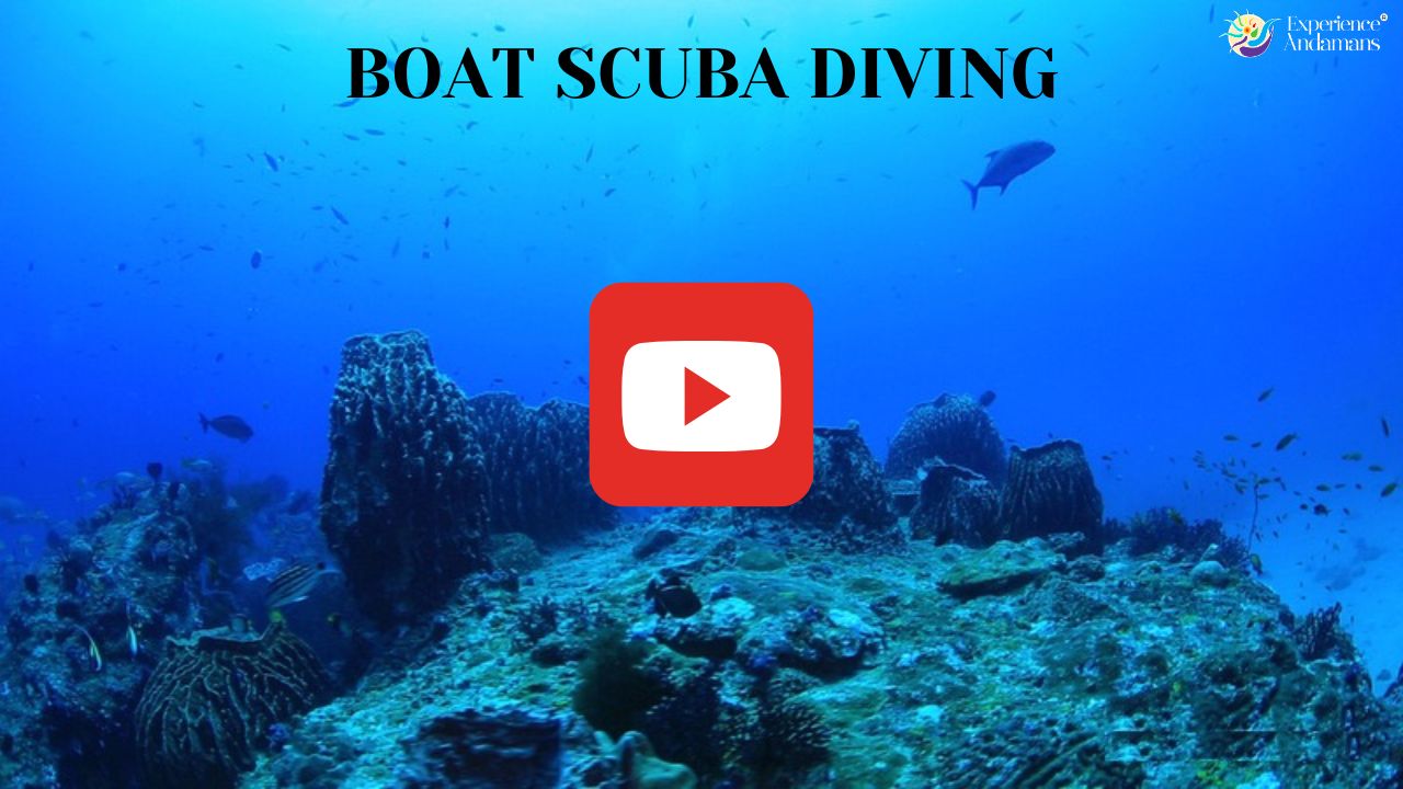 Boat Scuba Diving at Havelock Island