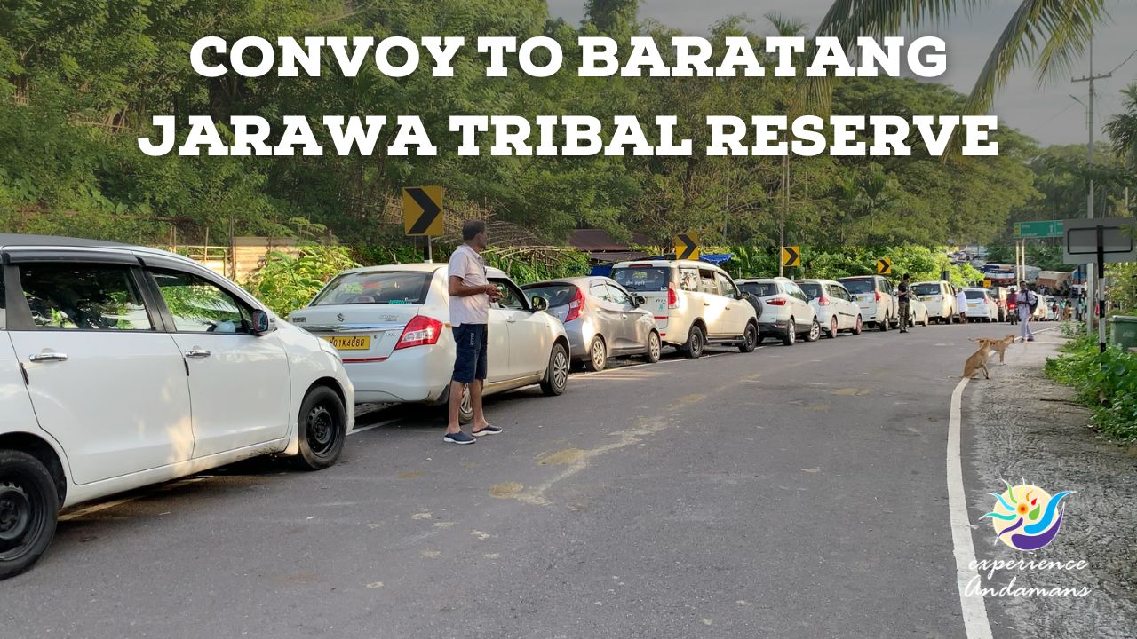 Convoy to Baratang from Port Blair