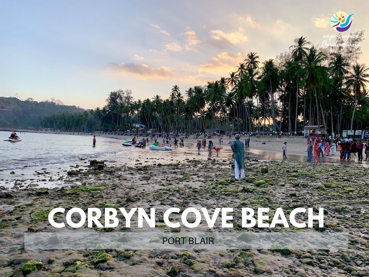 Corbyns Cove Beach