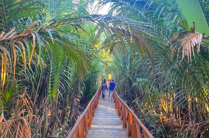 Local Sightseeing To Ambkunj Beach, Morrice Dera and Mangrove Walkway