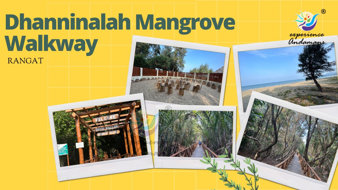 Dhanninalah Mangrove Walkway