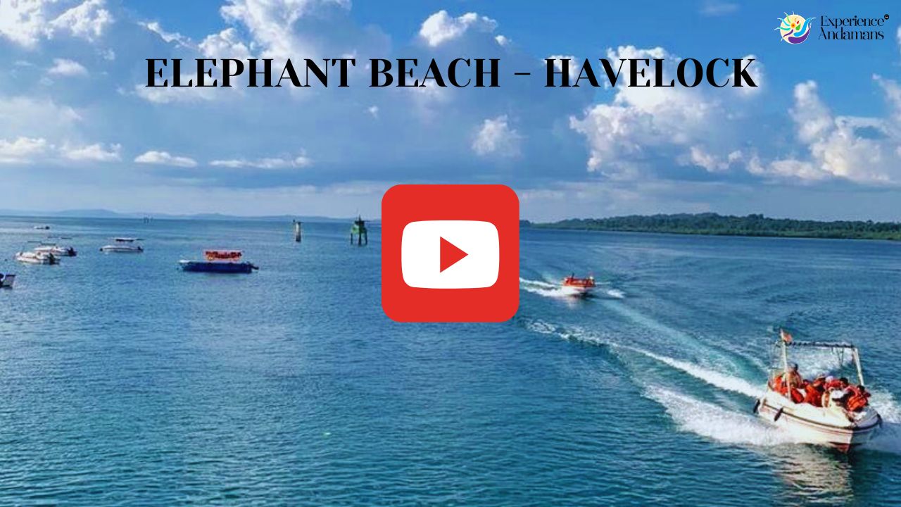 Elephant Beach Havelock Island