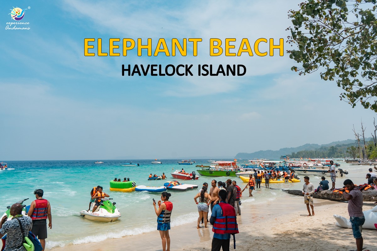Elephant Beach at Havelock for Snorkeling