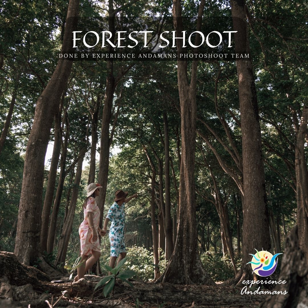 Forest photoshoot at Havelock Island