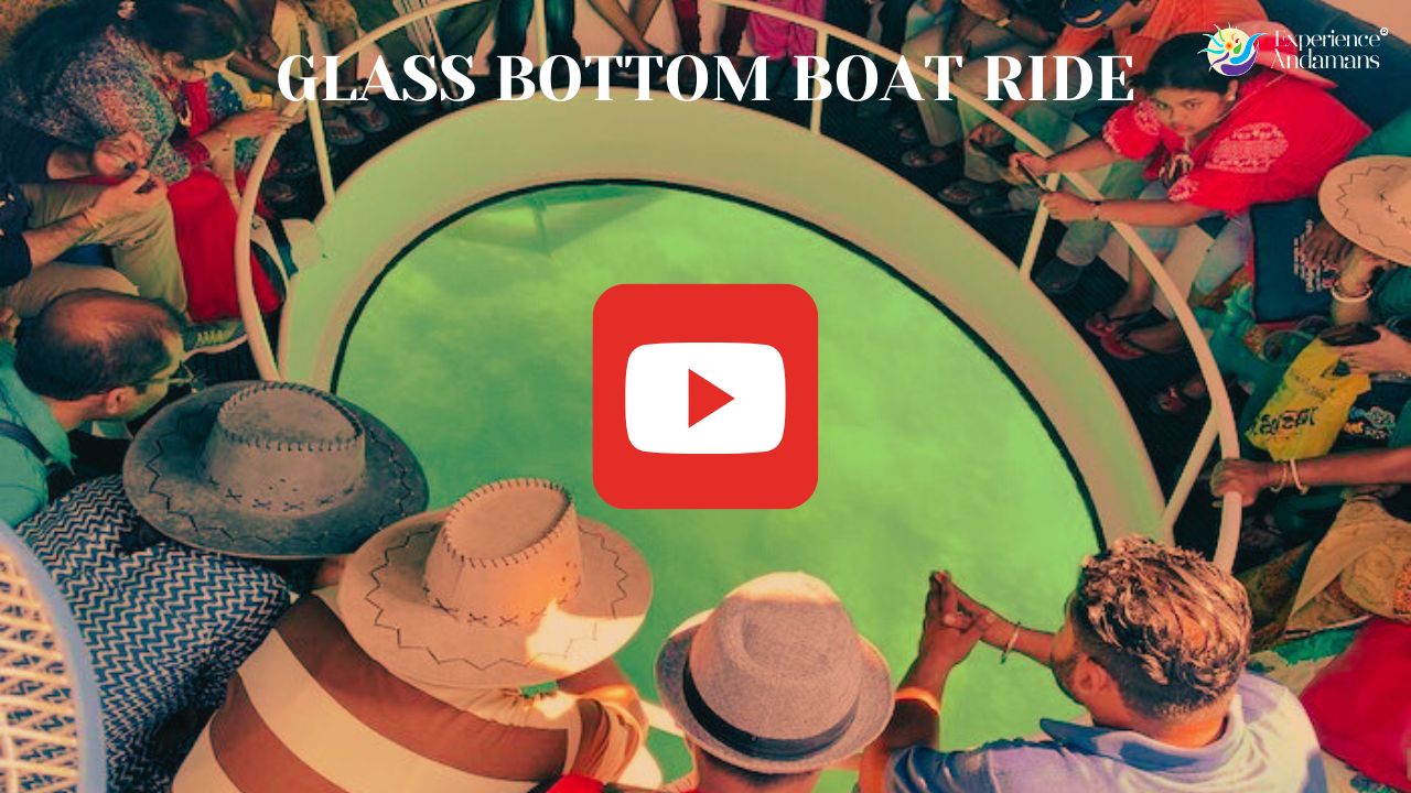 Glass Bottom Ride at Elephant Beach Havelock Island