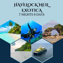 Havelock Neil Exotica