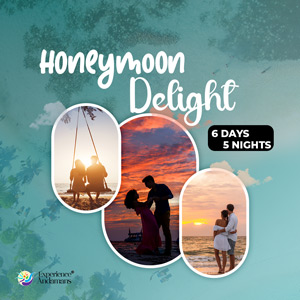 Honeymoon Delight