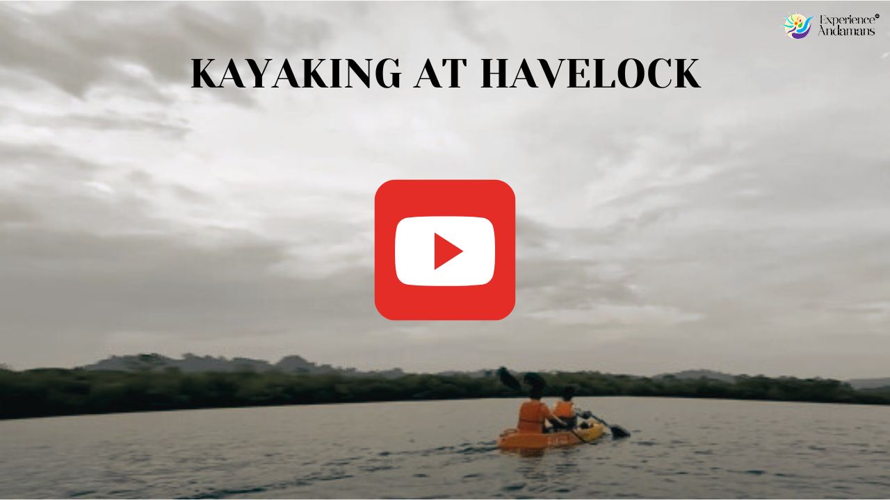 Kayaking at Havelock Island