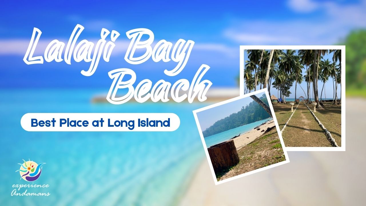 Lalaji Bay beach long island