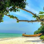 trip cost to andaman