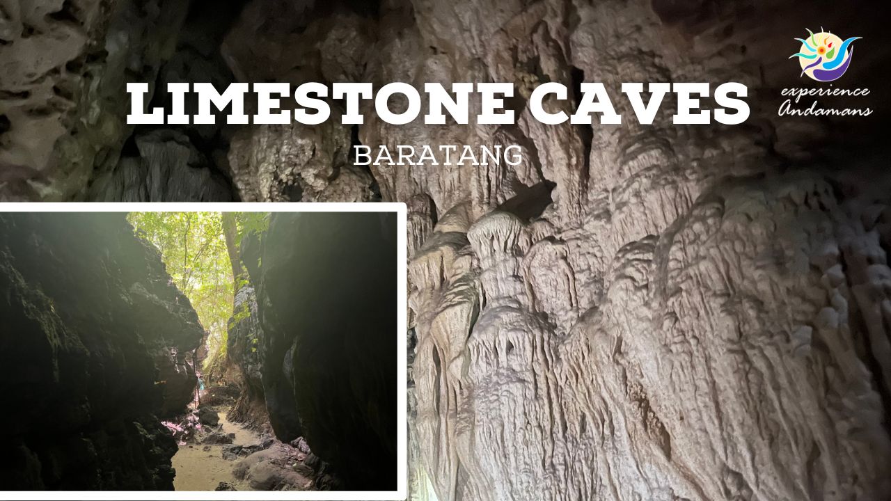 Limestone Caves Baratang