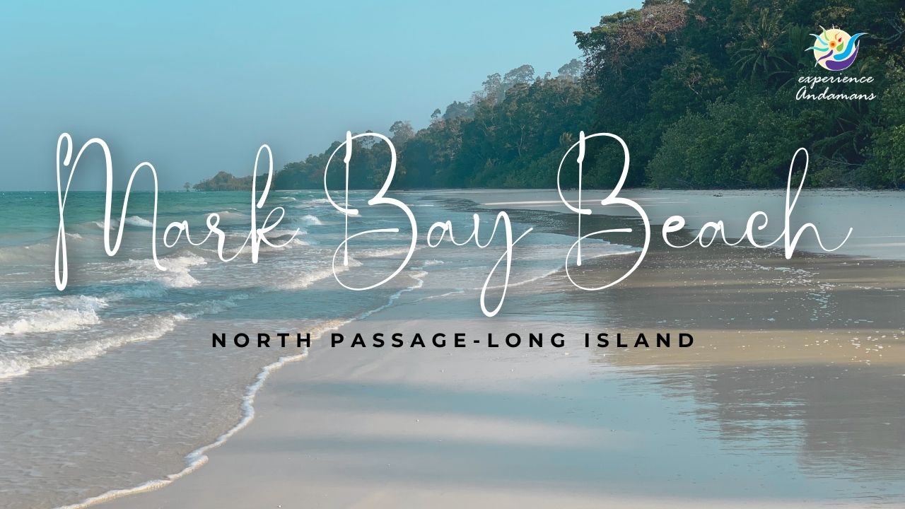 Mark Bay Beach long Island