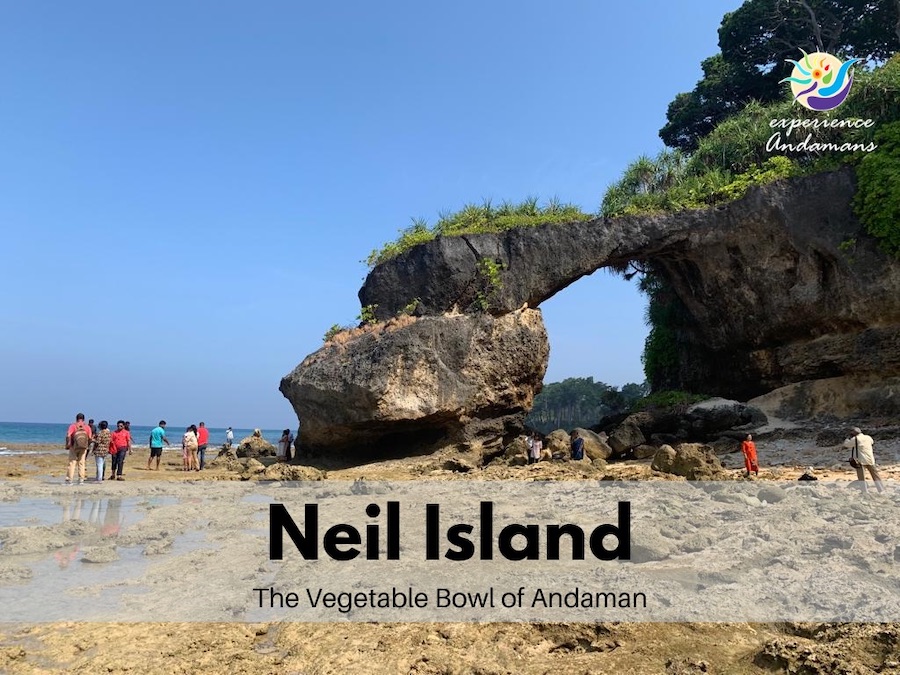 Wanderlust Andaman with Baratang - Havelock and Neil Island