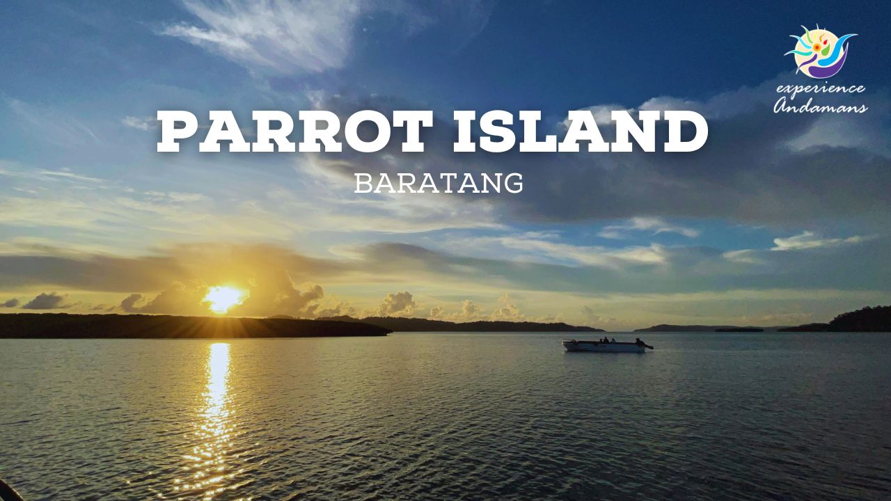 Parrot island Baratang