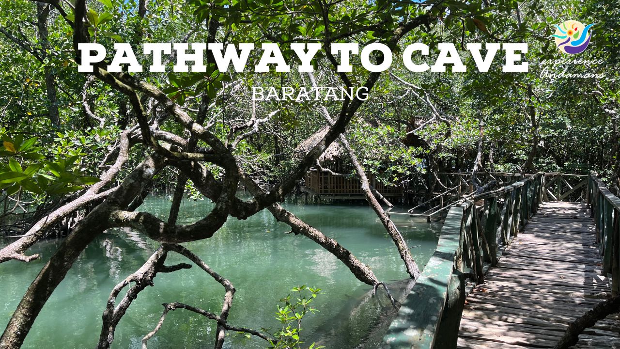 Pathway to Limestone Caves