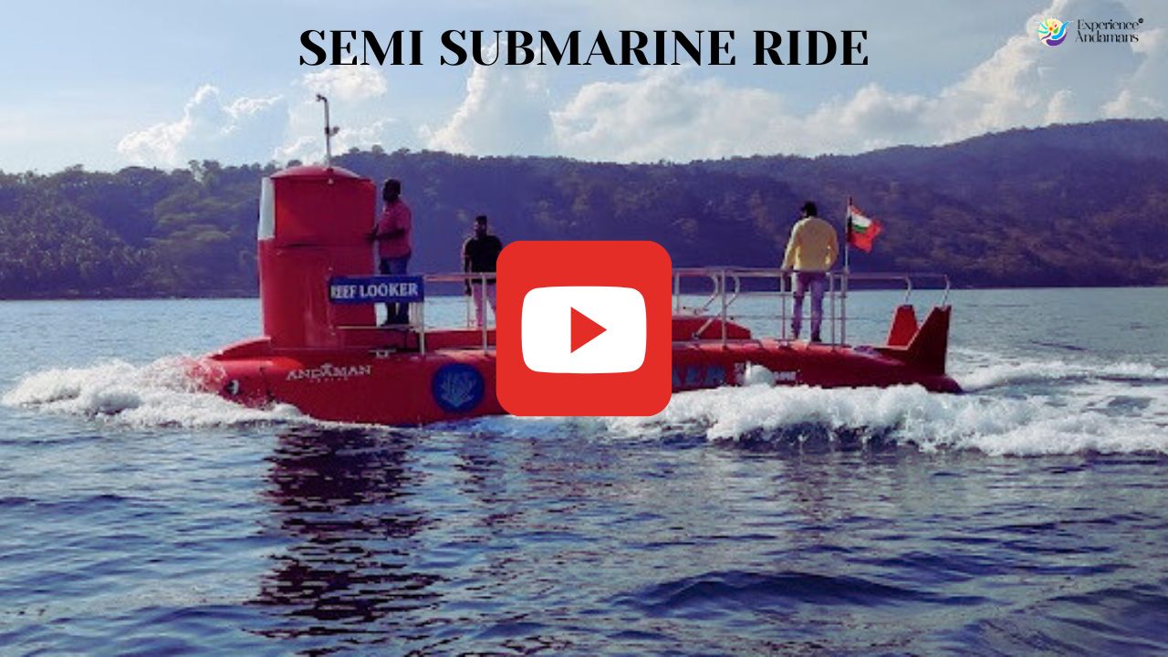 Semi Submarine Ride at Elephant Beach Havelock Island