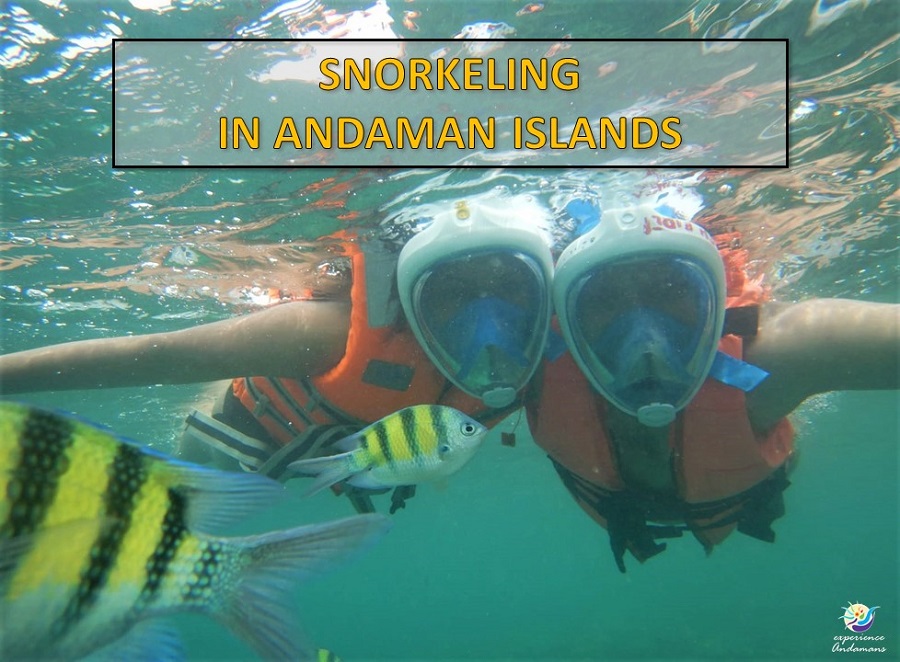 Andaman Island Quest